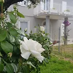 Ripari Di Giobbe Ortona