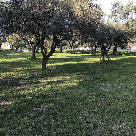 Ripari Di Giobbe -