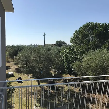 Ripari Di Giobbe