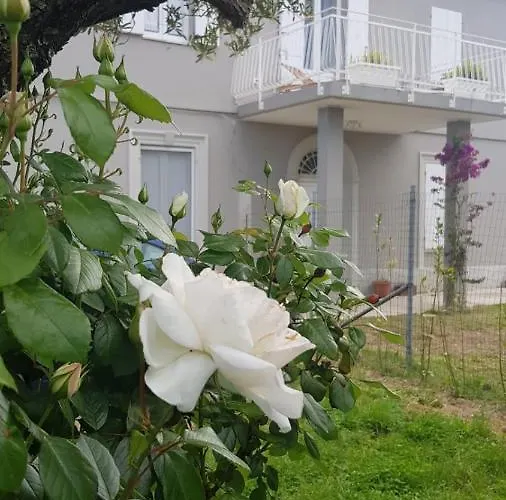 Ripari Di Giobbe - Ortona